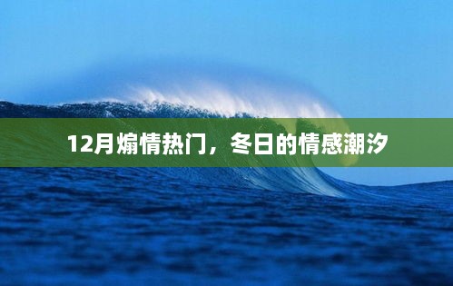 冬日的情感潮汐，12月煽情回顾