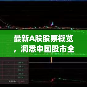 最新A股股票概览，洞悉中国股市全貌