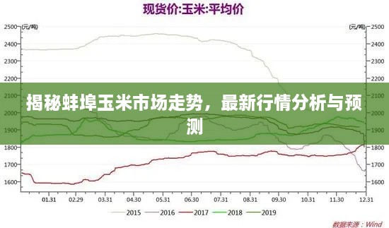 束装就道 第2页