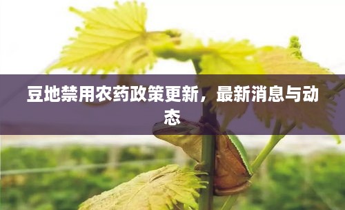 gangjumuzhang 第2页