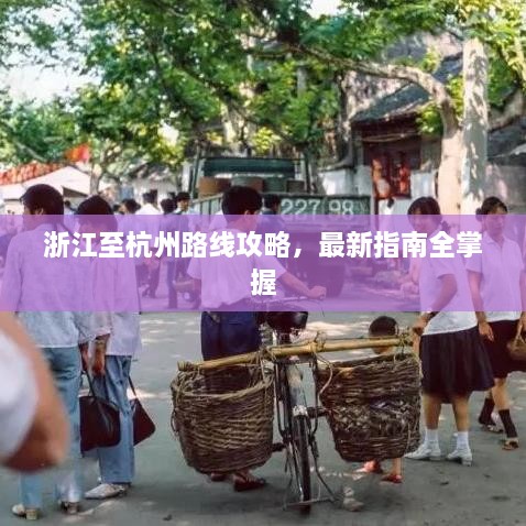真独简贵 第2页