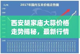 西安胡家庙大蒜价格走势揭秘，最新行情分析与预测