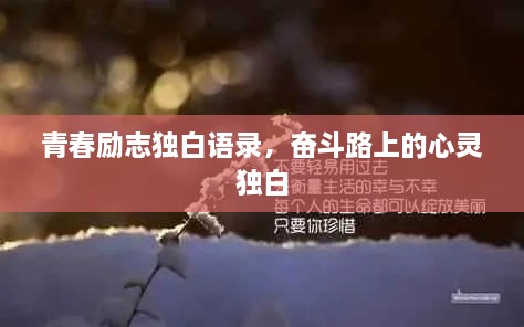 青春励志独白语录，奋斗路上的心灵独白