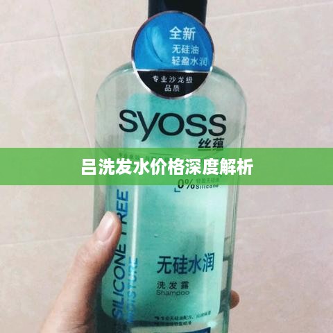 吕洗发水价格深度解析