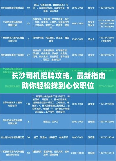 长沙司机招聘攻略，最新指南助你轻松找到心仪职位