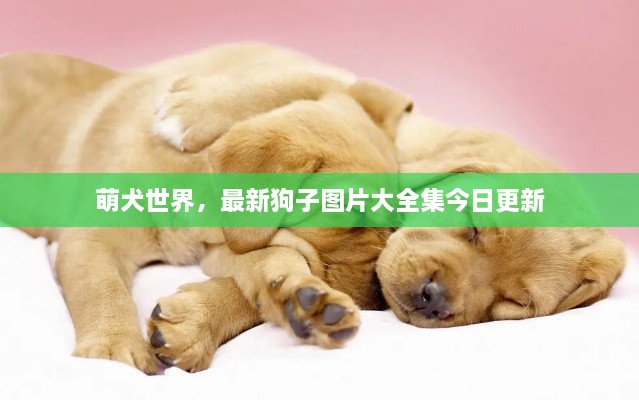 侃侃而谈