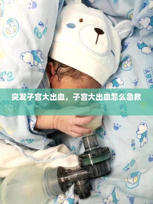 2025年2月 第238页
