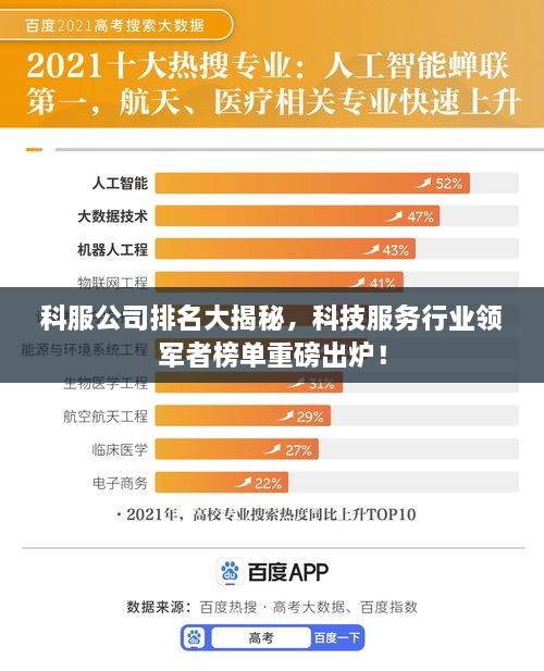 2025年2月 第237页