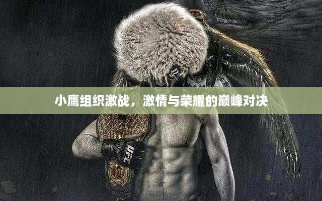 小鹰组织激战，激情与荣耀的巅峰对决