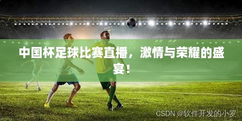 中国杯足球比赛直播，激情与荣耀的盛宴！