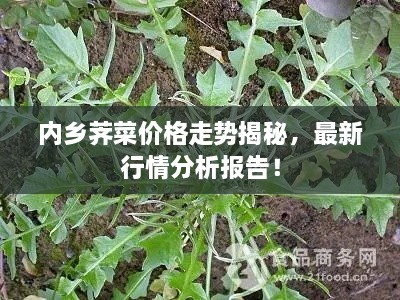 2025年2月 第223页