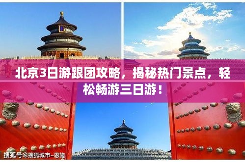 2025年2月 第222页