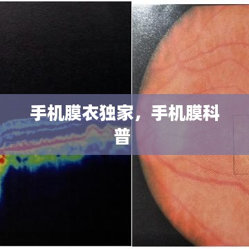 2025年2月 第217页