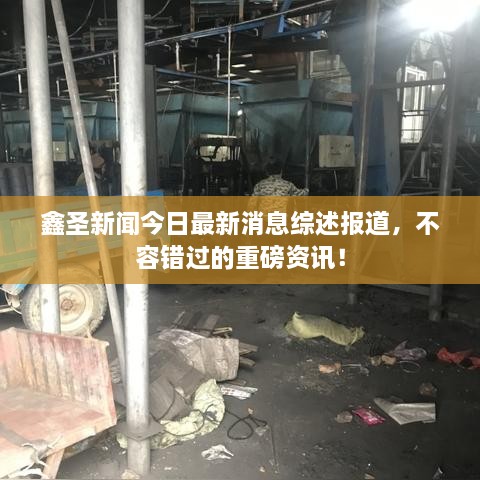 2025年2月 第204页