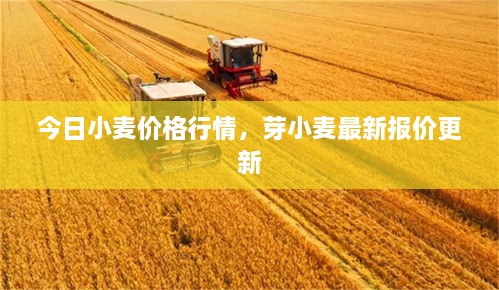 2025年2月 第179页