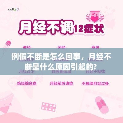 ruhuisifei