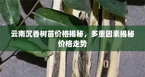 普度众生