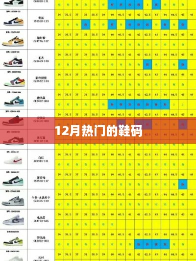冬季鞋码风云榜，揭秘十二月最热门鞋码