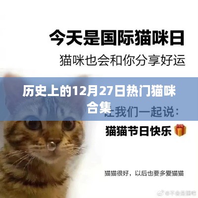 猫咪世界，历史上的热门时刻合集 12月27日回顾