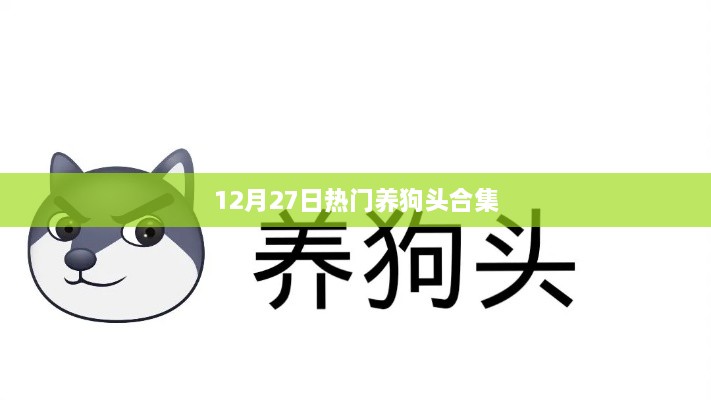 精选养狗头秘籍，热门攻略大合集（12月27日）