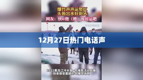 12月27日热门电话声揭秘