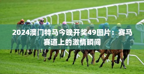 2025澳门特马今晚开奖49图片：赛马赛道上的激情瞬间