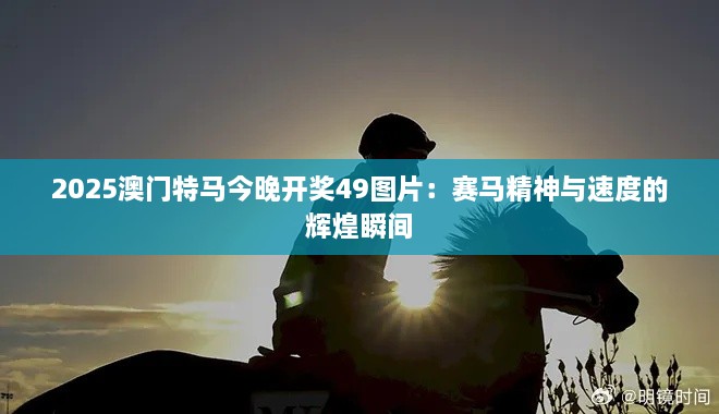 2025澳门特马今晚开奖49图片：赛马精神与速度的辉煌瞬间
