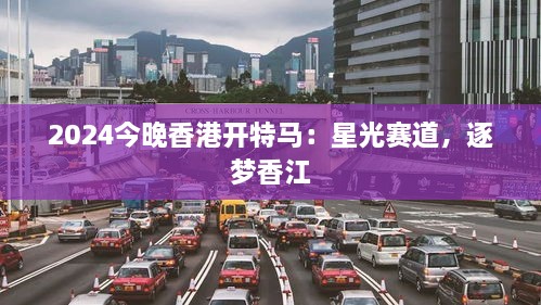 2025今晚香港开特马：星光赛道，逐梦香江