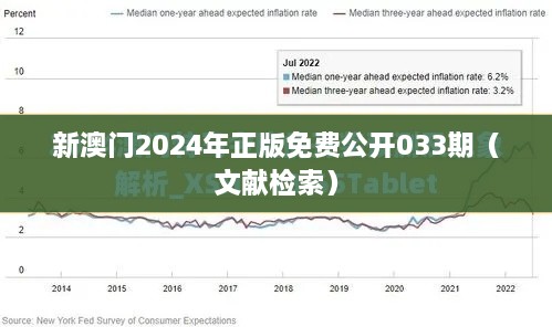 新澳门2025年正版免费公开033期（文献检索）