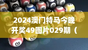 2025澳门特马今晚开奖49图片029期（毕业论文文献综述）