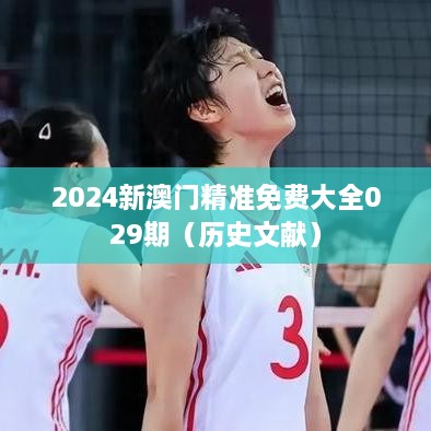 2025新澳门精准免费大全029期（历史文献）