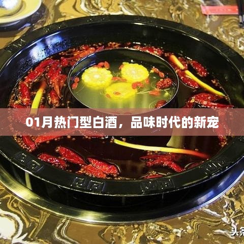 热门白酒尝鲜，时代新宠魅力品鉴