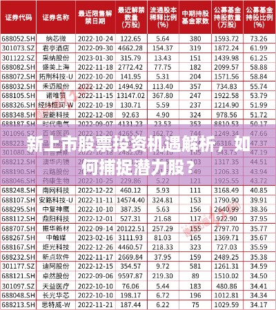 新上市股票投资机遇解析，如何捕捉潜力股？