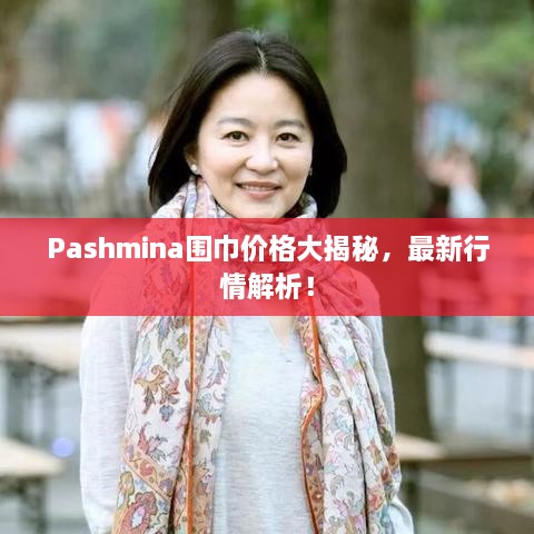 囊萤映雪 第2页