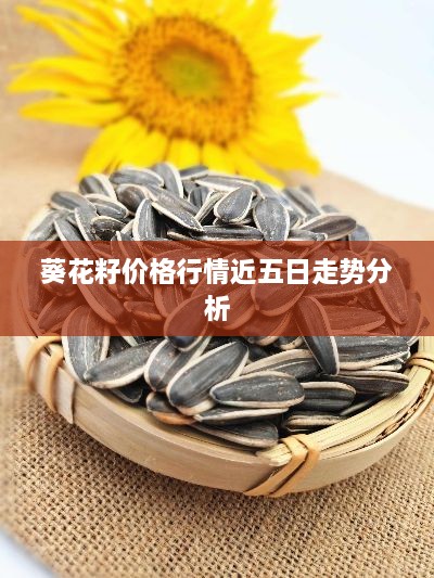 漫天飞舞 第2页