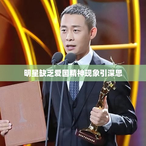 明星缺乏爱国精神现象引深思