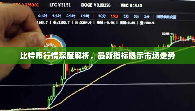 贵阴贱璧 第2页
