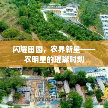 闪耀田园，农界新星——农明星的璀璨时刻