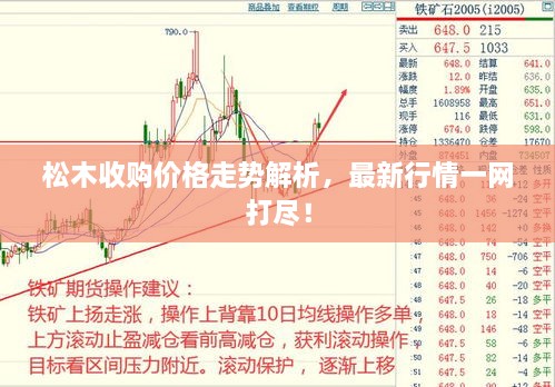 wushirenfei 第2页