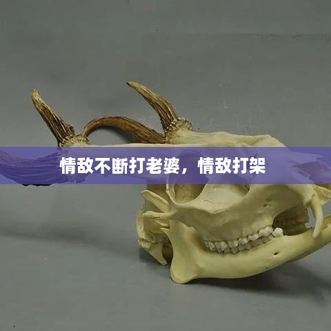 gexinbianjiu 第2页