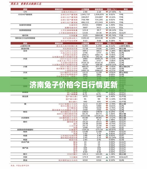 济南兔子价格今日行情更新