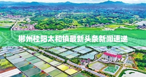 weiminqingming 第2页