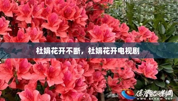 张三李四 第2页