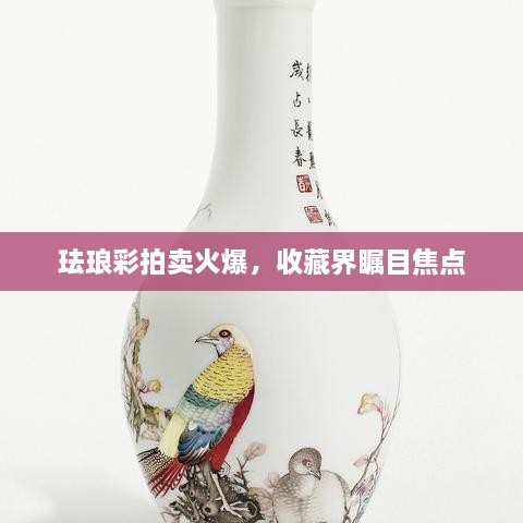珐琅彩拍卖火爆，收藏界瞩目焦点
