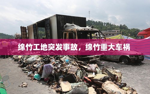 公司简介 第67页