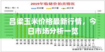 奔走如飞 第2页