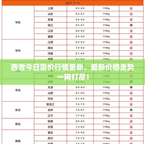 西吉今日菜价行情更新，最新价格走势一网打尽！