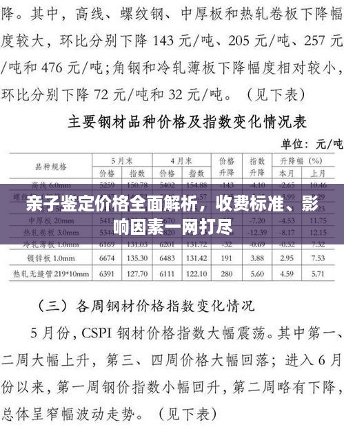 亲子鉴定价格全面解析，收费标准、影响因素一网打尽