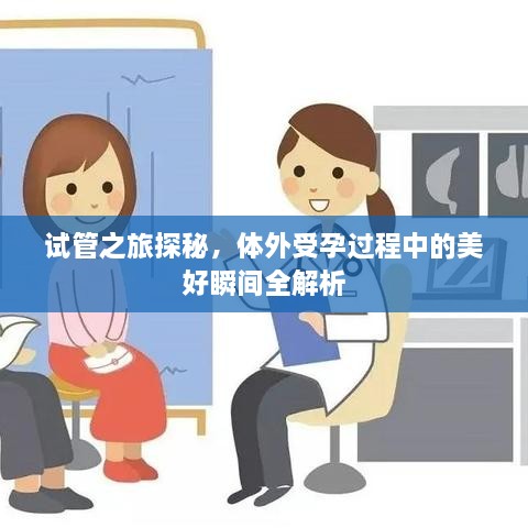 物以稀为贵 第2页