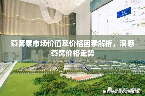 燕窝素市场价值及价格因素解析，洞悉燕窝价格走势
